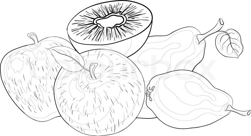 800x435 Still Life, Food, Various Fruits, Contours On A White Background