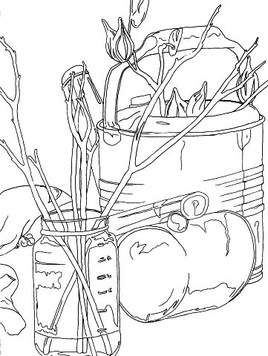 268x356 Line Drawing