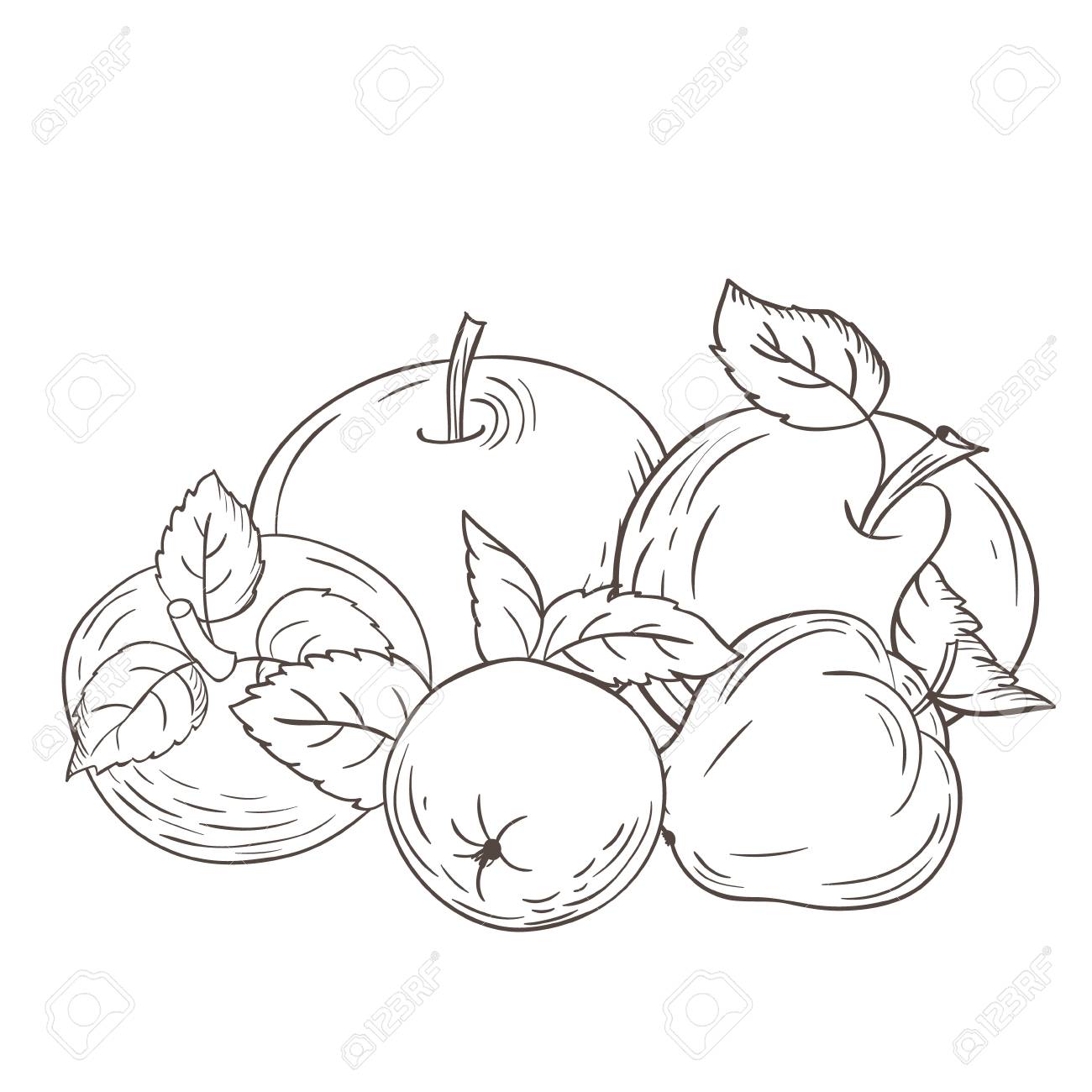 1300x1300 Still Life Of Apples Silhouettes Royalty Free Cliparts, Vectors