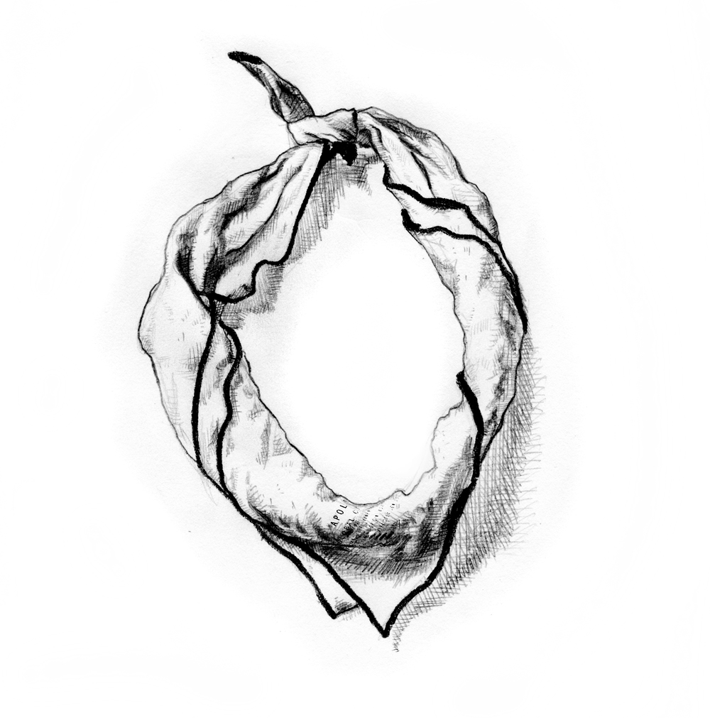 1000x1011 Apolis Product