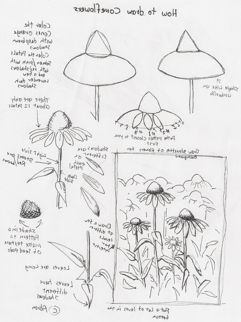 768x1024 Still Life Drawing Lesson Still Life Drawing Lesson Plan 1000