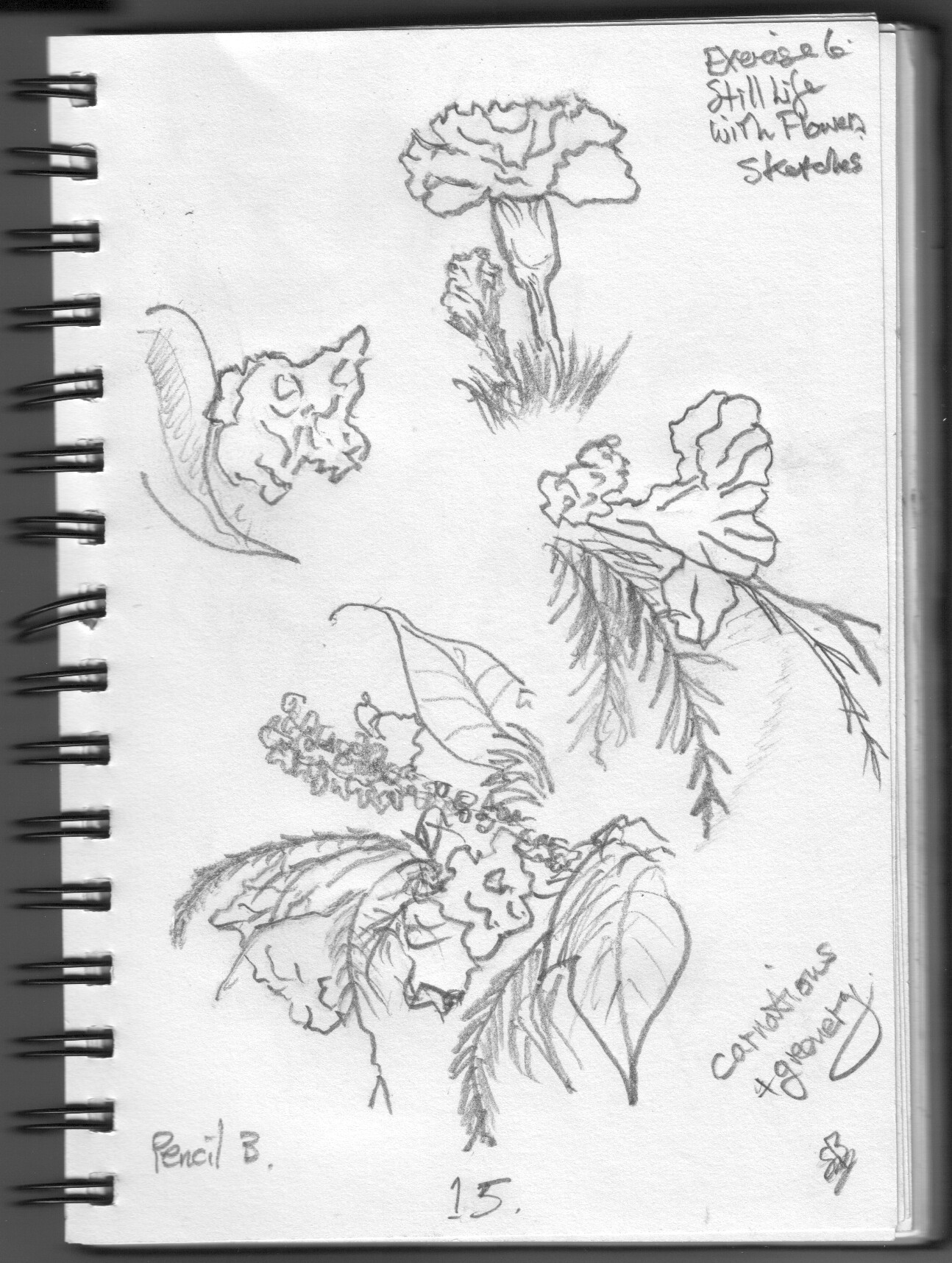 1294x1716 Part 2 Exercise 6 Still Life With Flowers Stuart Brownlee