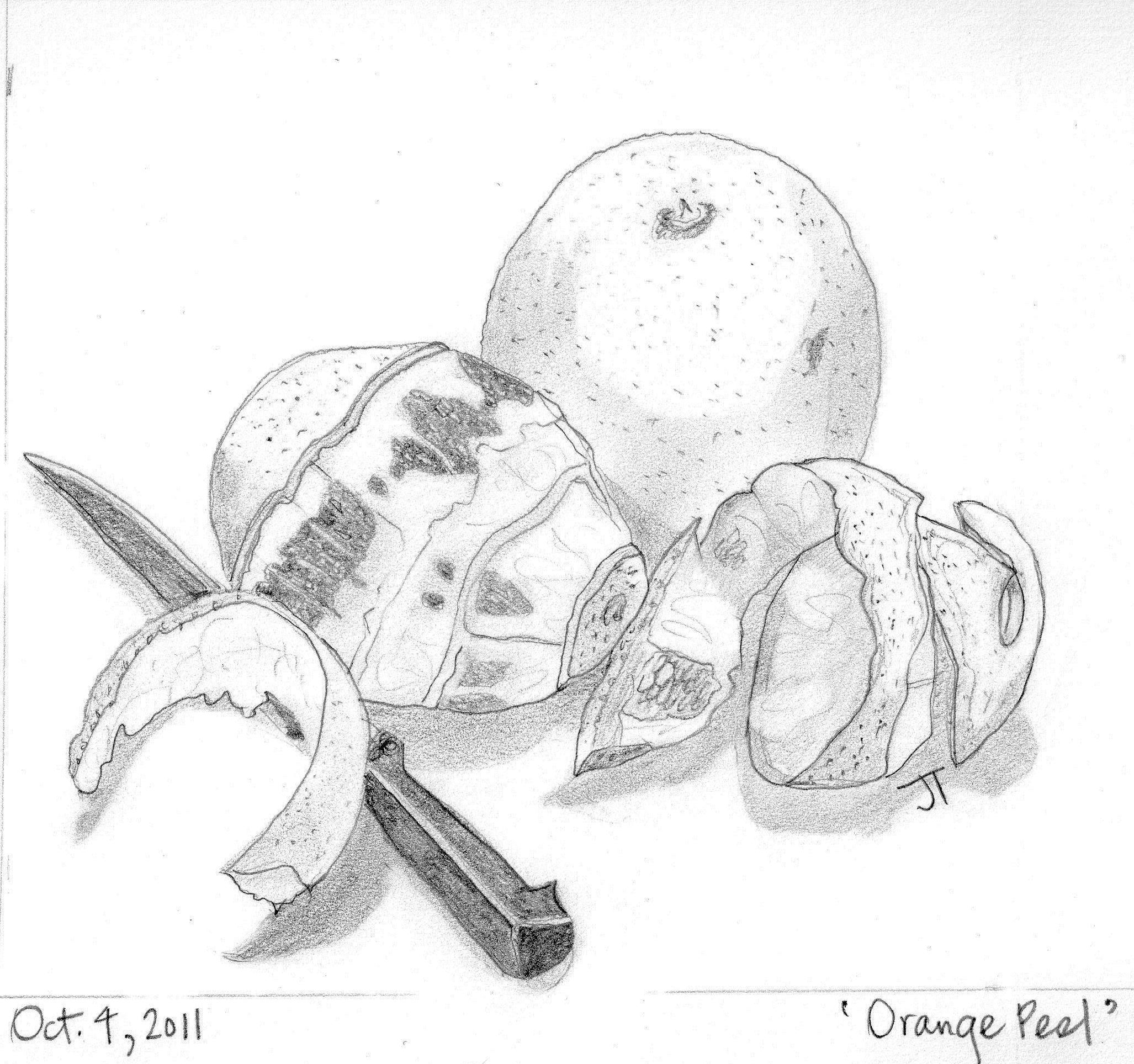 2054x1927 Gallery Of Pencil Drawings Nichepoetryandprose