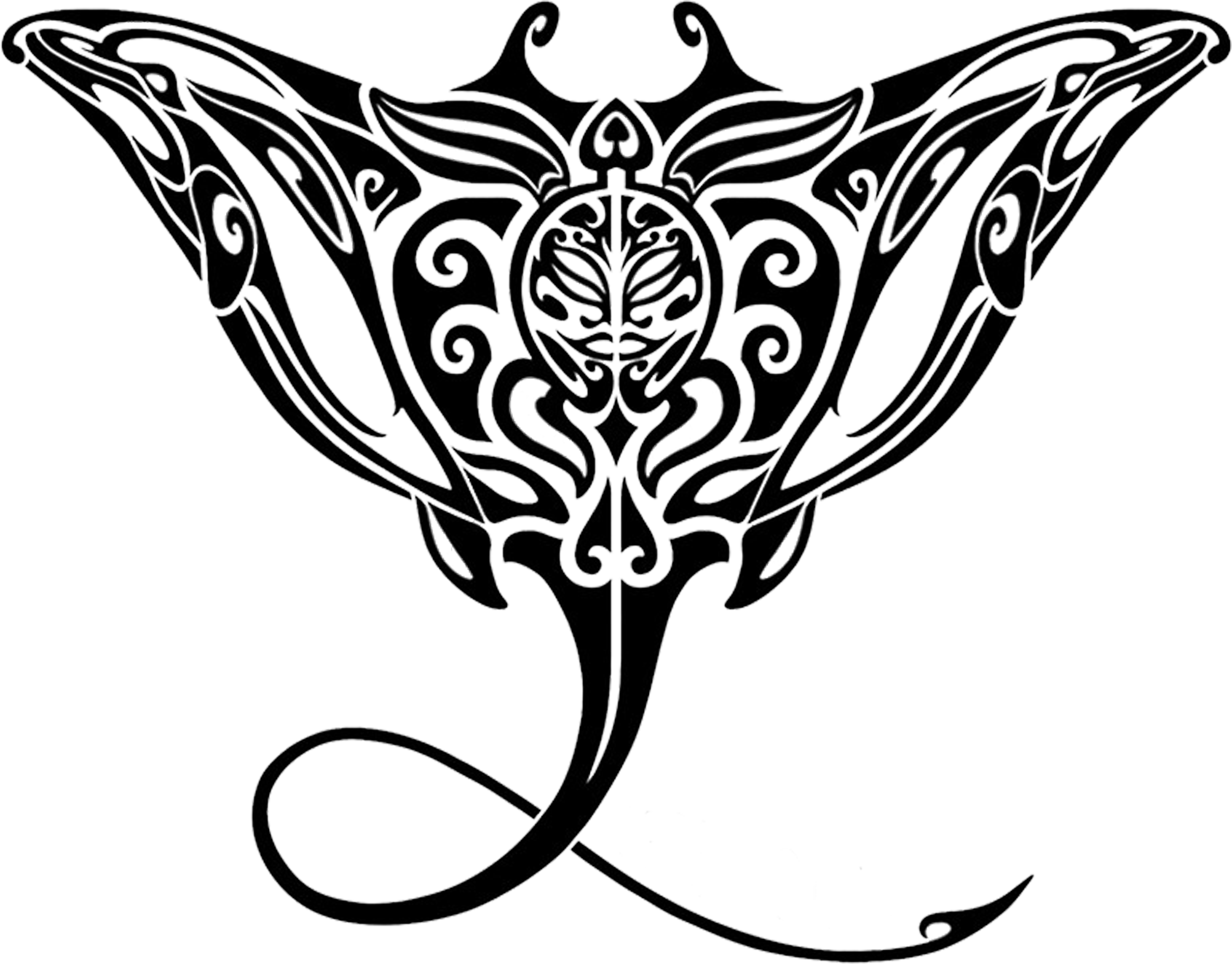 3216x2516 Hidden Springs Swim Club Registration