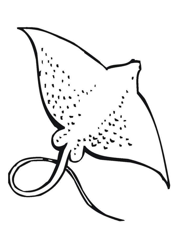 685x886 Stingrays Colouring Pages Drawingsideas