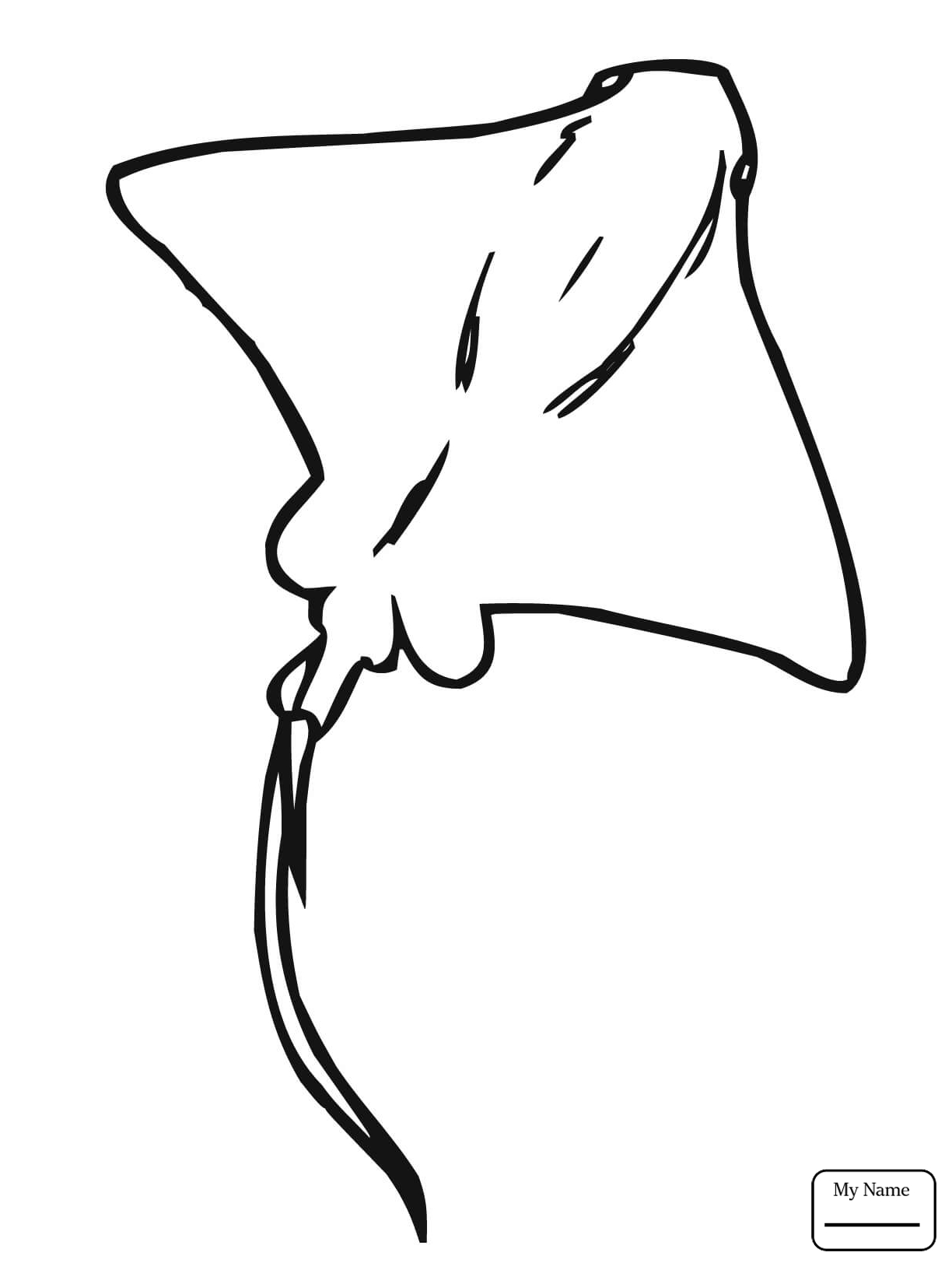 1224x1632 Coloring Pages Ray Skate Fish Fish
