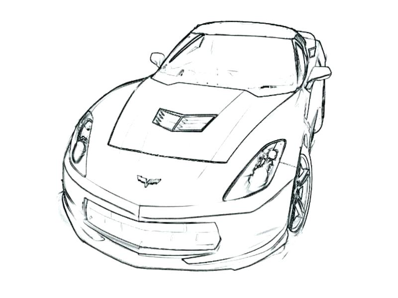 800x600 Stingray Coloring Page Murs