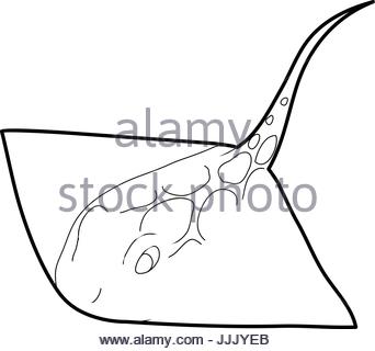 342x320 Marine Stingray Isolated Icon Stock Vector Art Amp Illustration