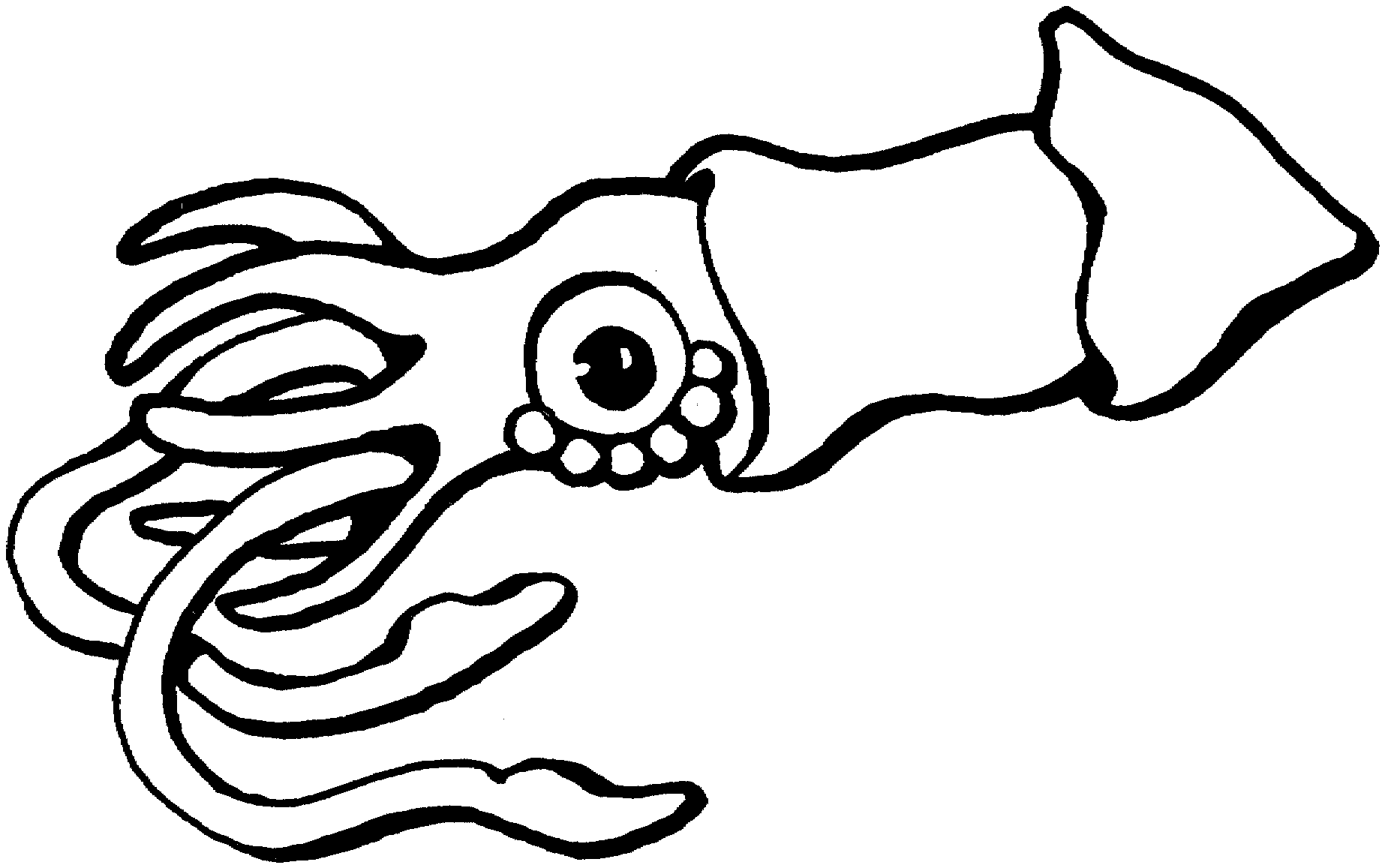 1846x1157 Octopus Coloring And Squid Stingray Coloring Pages Big Bang Fish