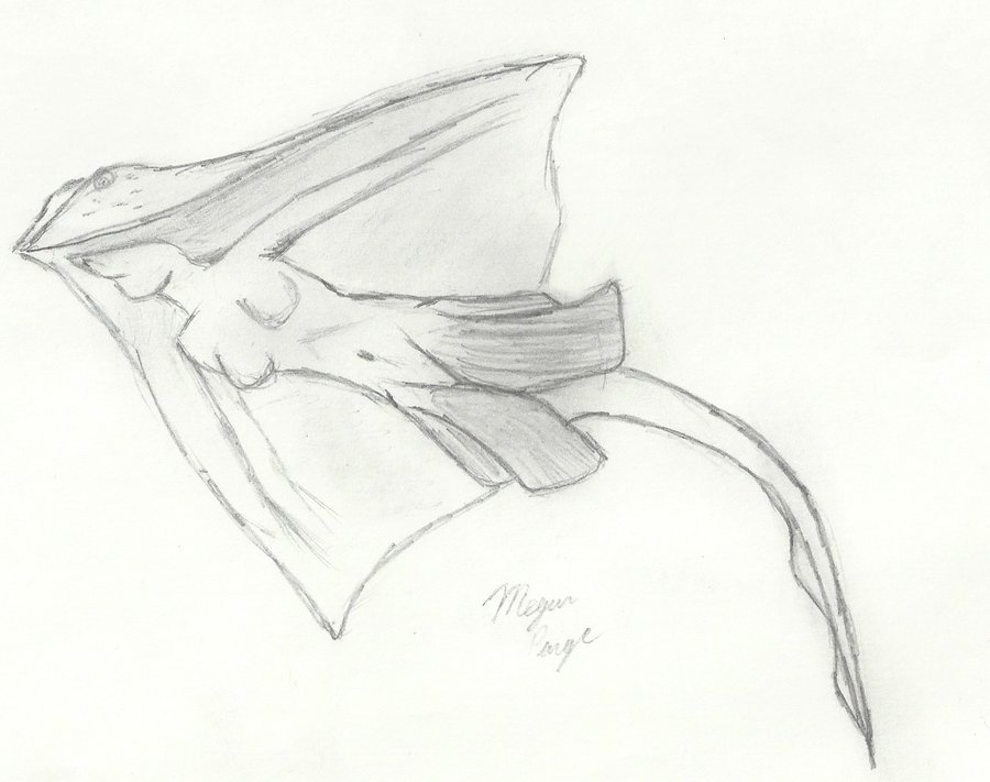 900x711 Stingray Mermaid By Meggypie643