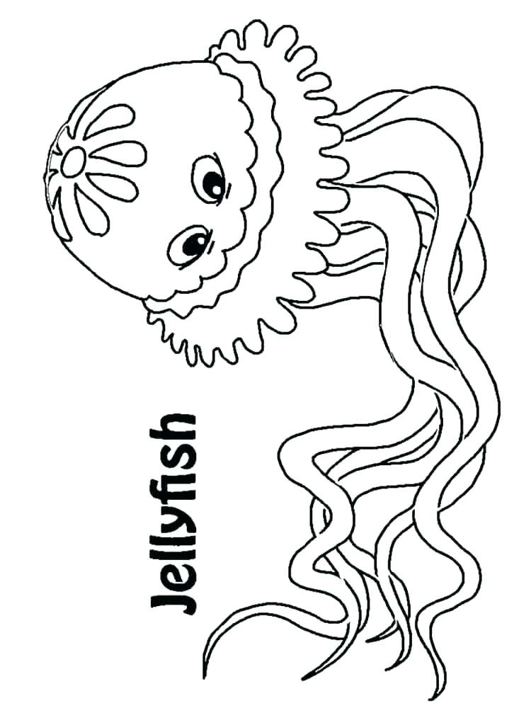 750x1000 Fresh Jellyfish Coloring Page Print Jelly Fish Cute Stingray Pages