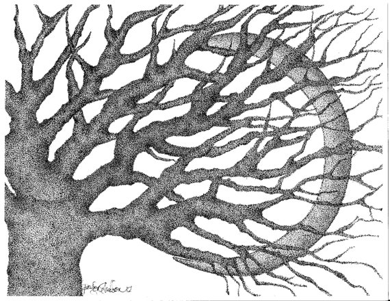 570x440 Crescent Moon Amp Tree Stipple Print 8 X 10 By Eyeofthesparrow Art