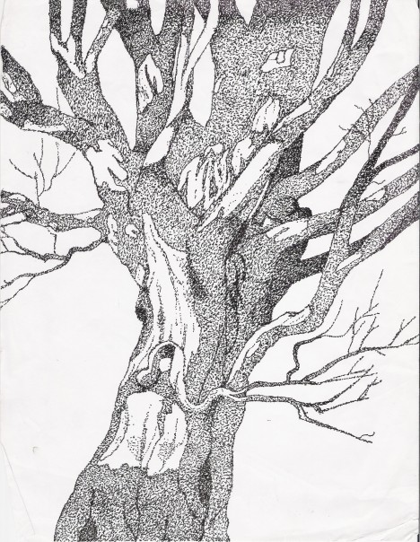 468x604 Tree Done In Ink By Stippling Drawn In 2004 Trees For Yearbook