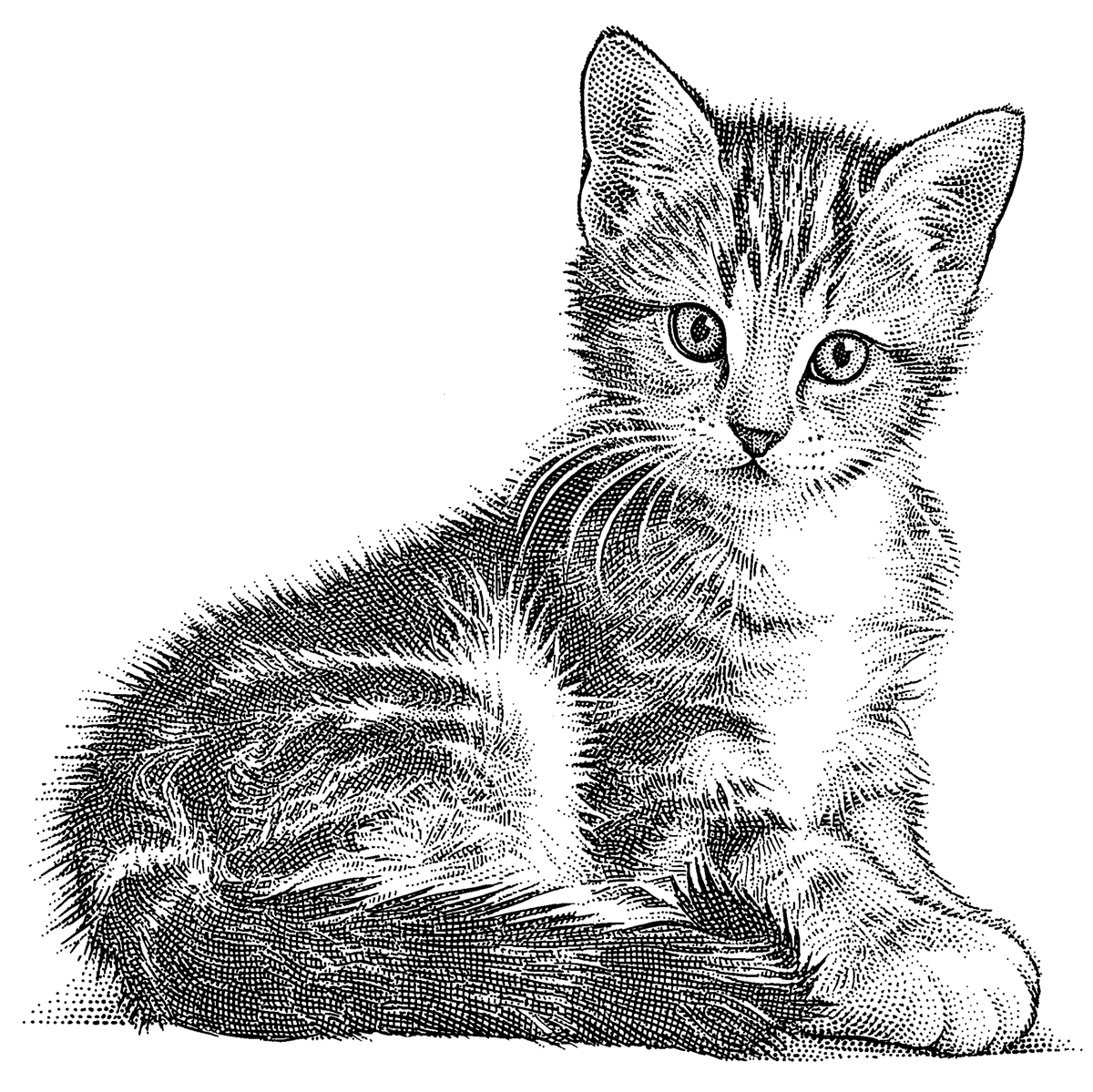 1200x1199 Animal Hedcuts On Behance