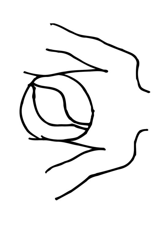 531x750 Coloring Page Stomach