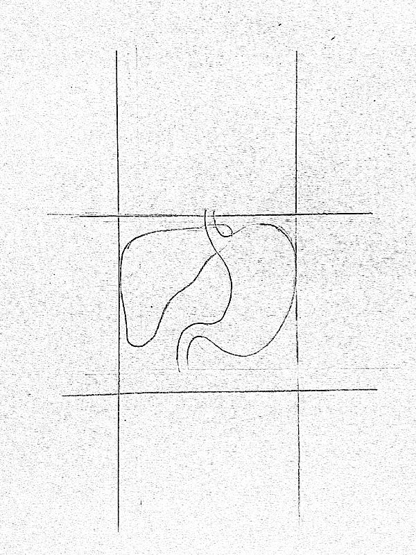 600x800 Draw It Neat How To Draw Human Digestive System