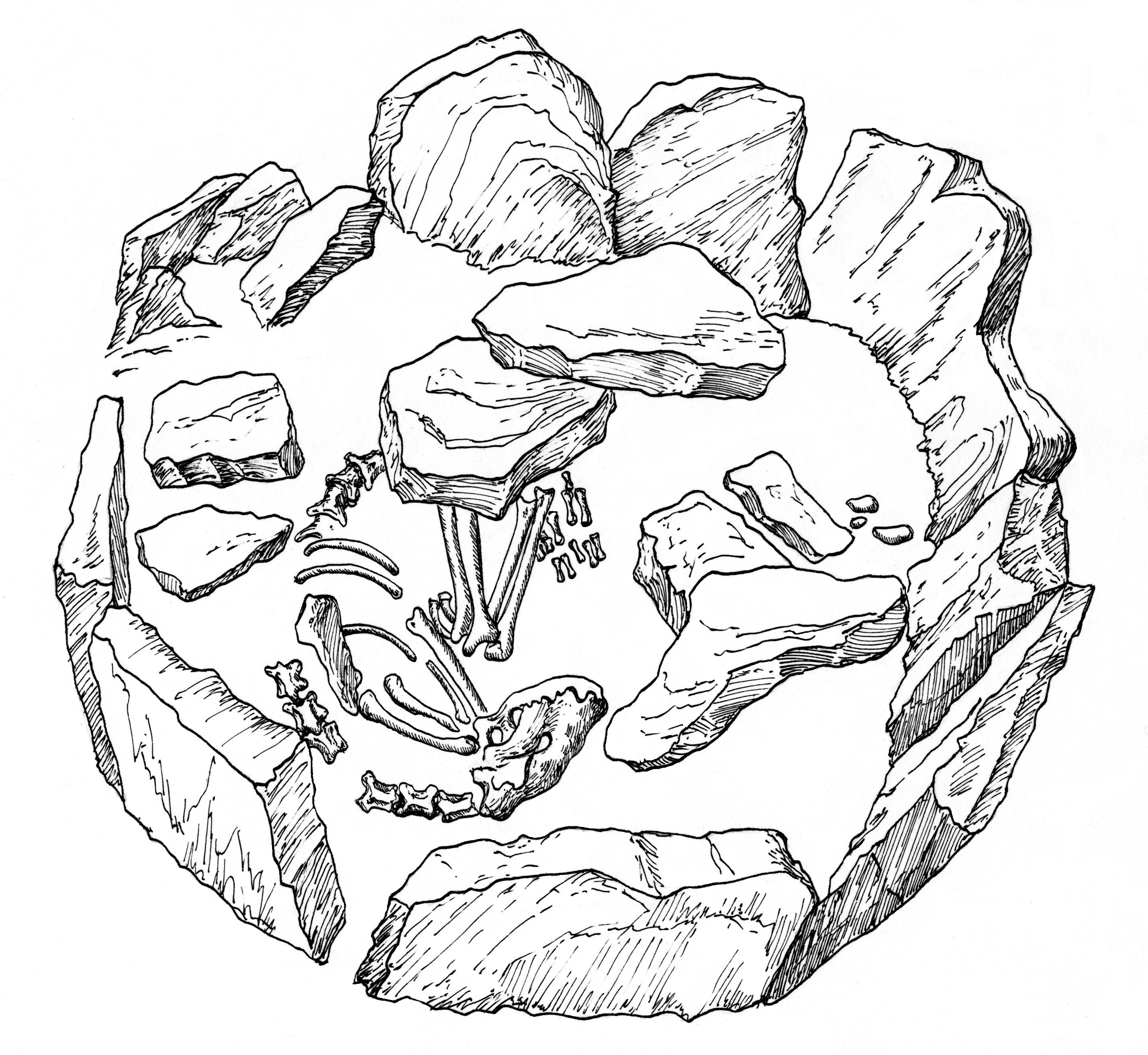 2874x2642 The Pad' Lenkovka Dog Burial, Found Within A Bronze Age Cemetery