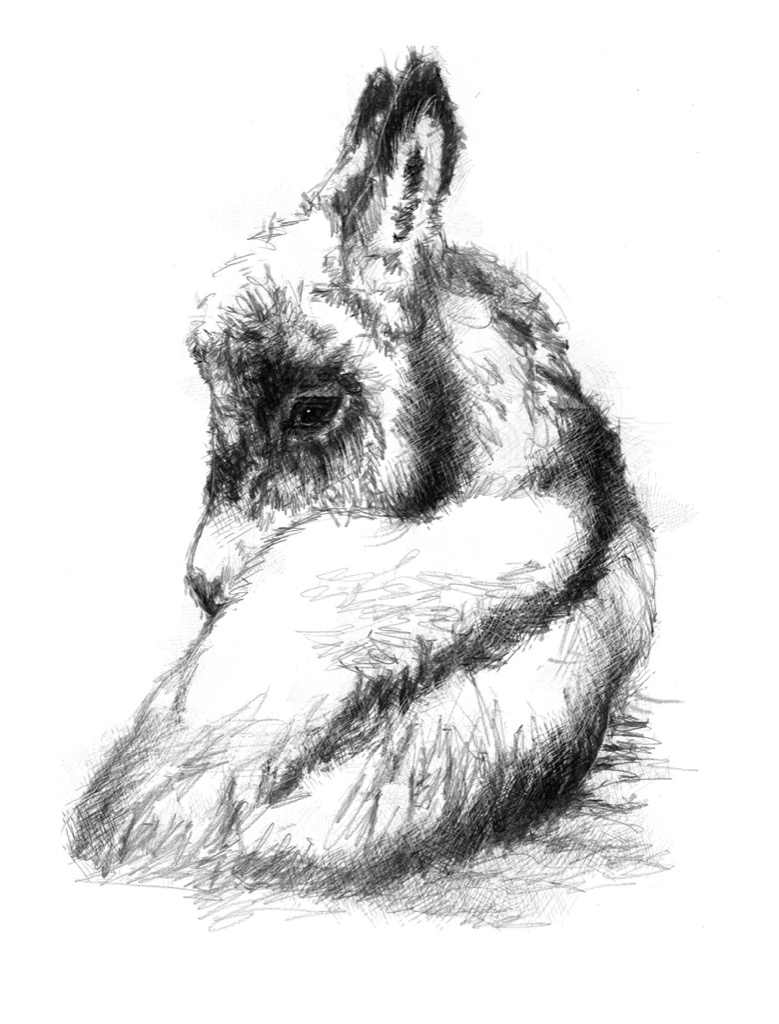 779x1024 Sketch A Day Seanbriggs