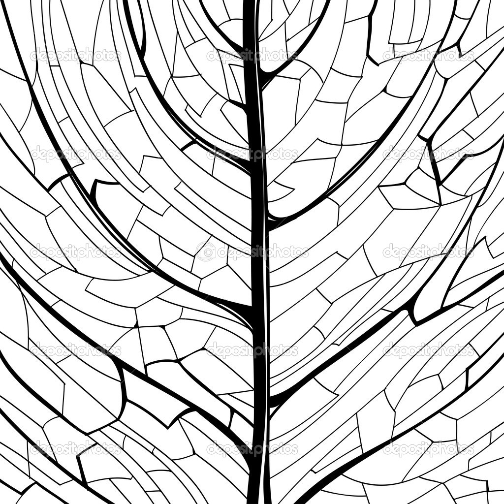 1024x1024 Leaf Pattern Line Drawing