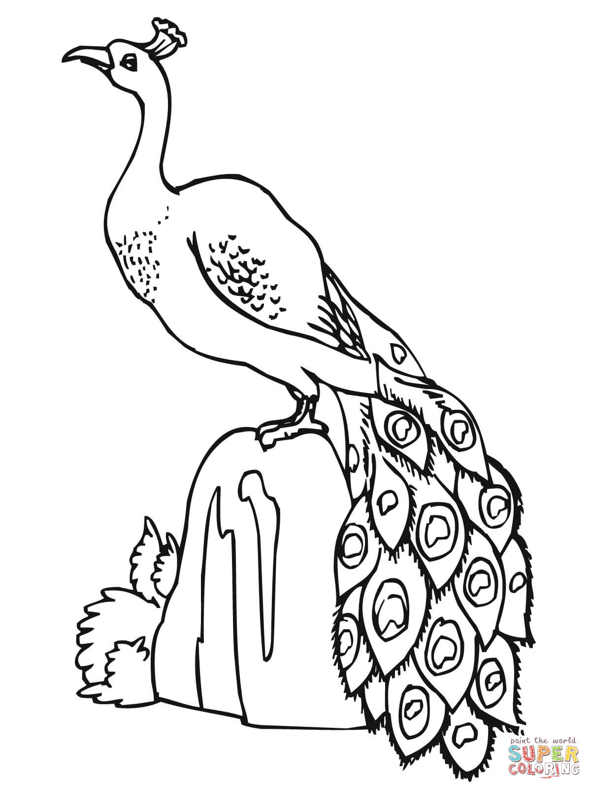 1200x1600 Peacock Standing On Stone Coloring Page Free Printable Coloring