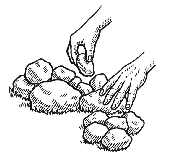 623x554 How To A Reptile Rockery Discover Wildlife