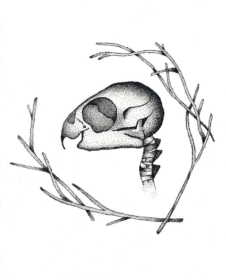 726x900 Sticks And Stones Drawing By Hayley Modica