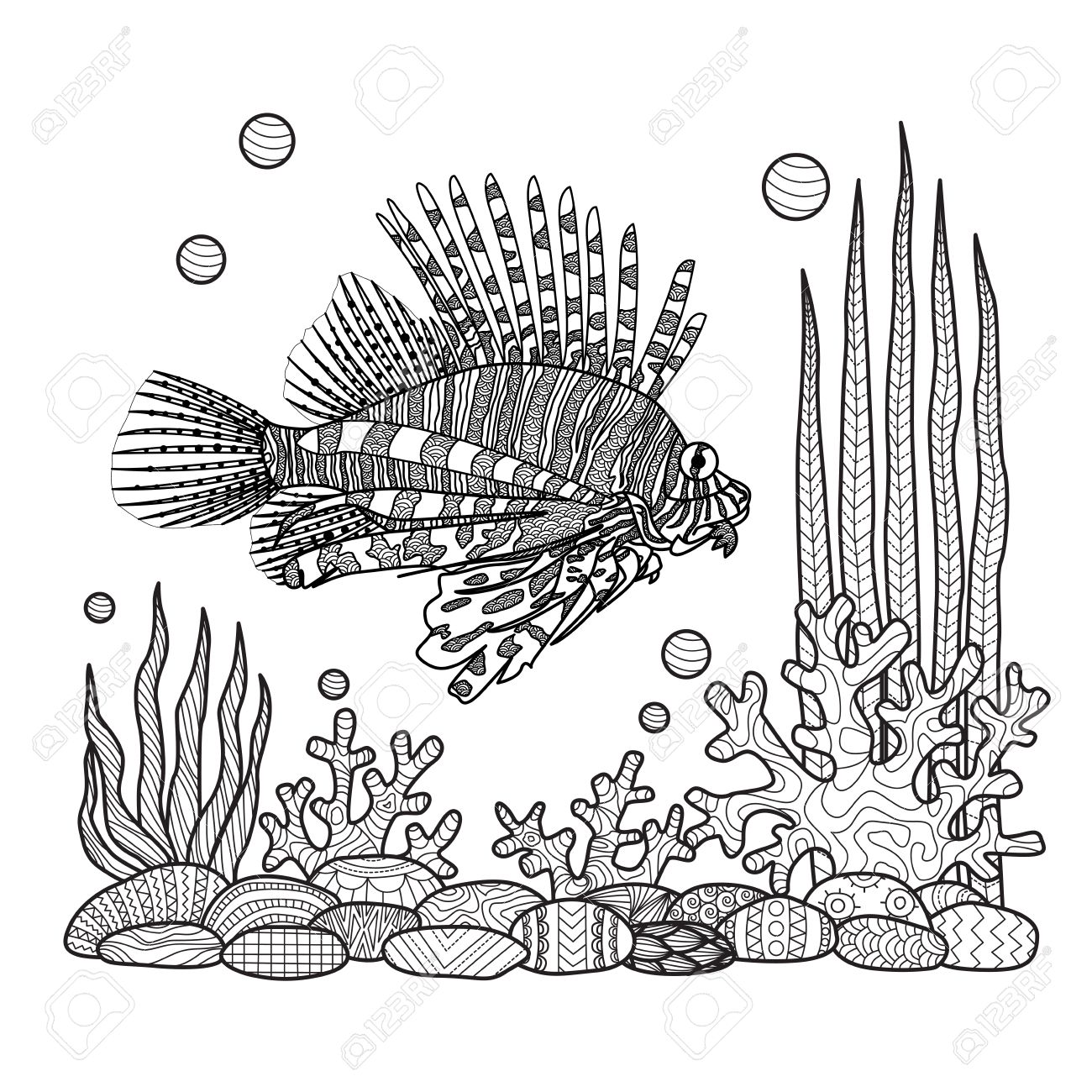 1300x1300 Unique Zen Doodles Design Of Zebrafish Swimming Around Sea Corals