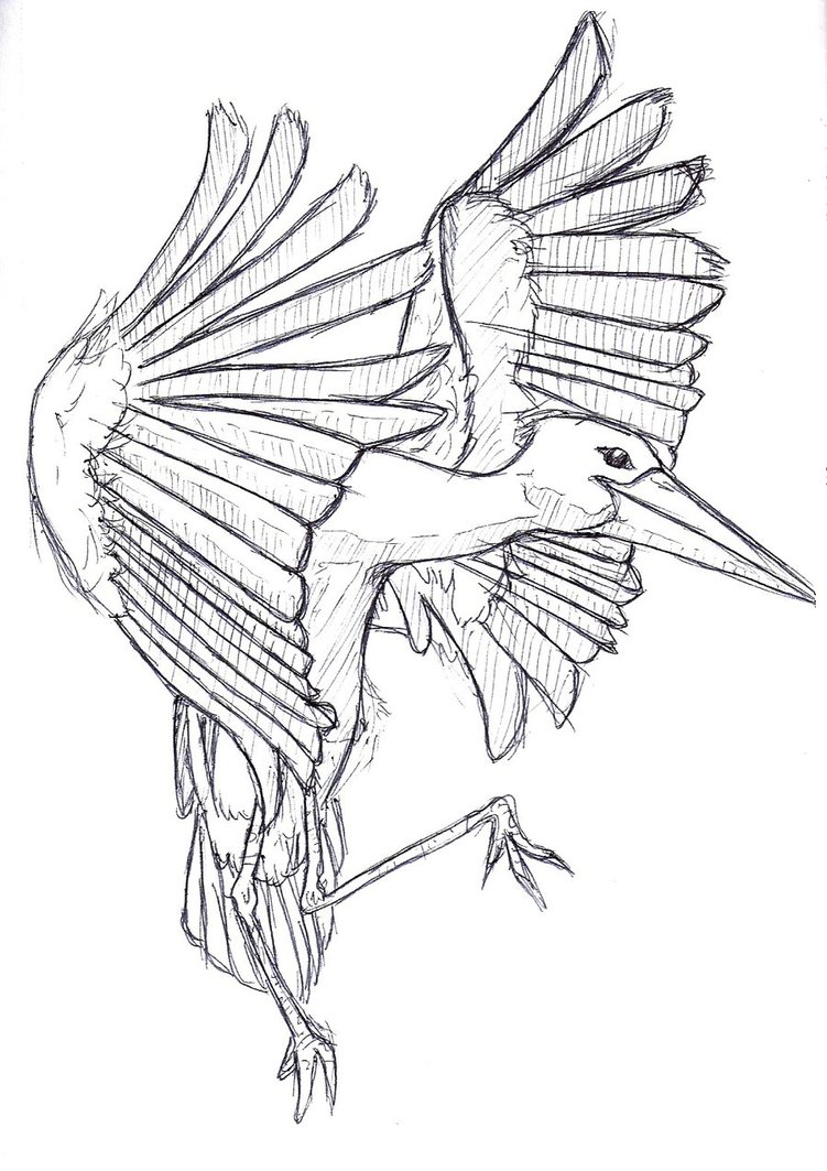 751x1063 Sketchbook Stork By Wayfaringpuma