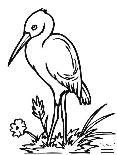 488x650 Stork Coloring Pages S11 Nice Coloring Pages For Kids