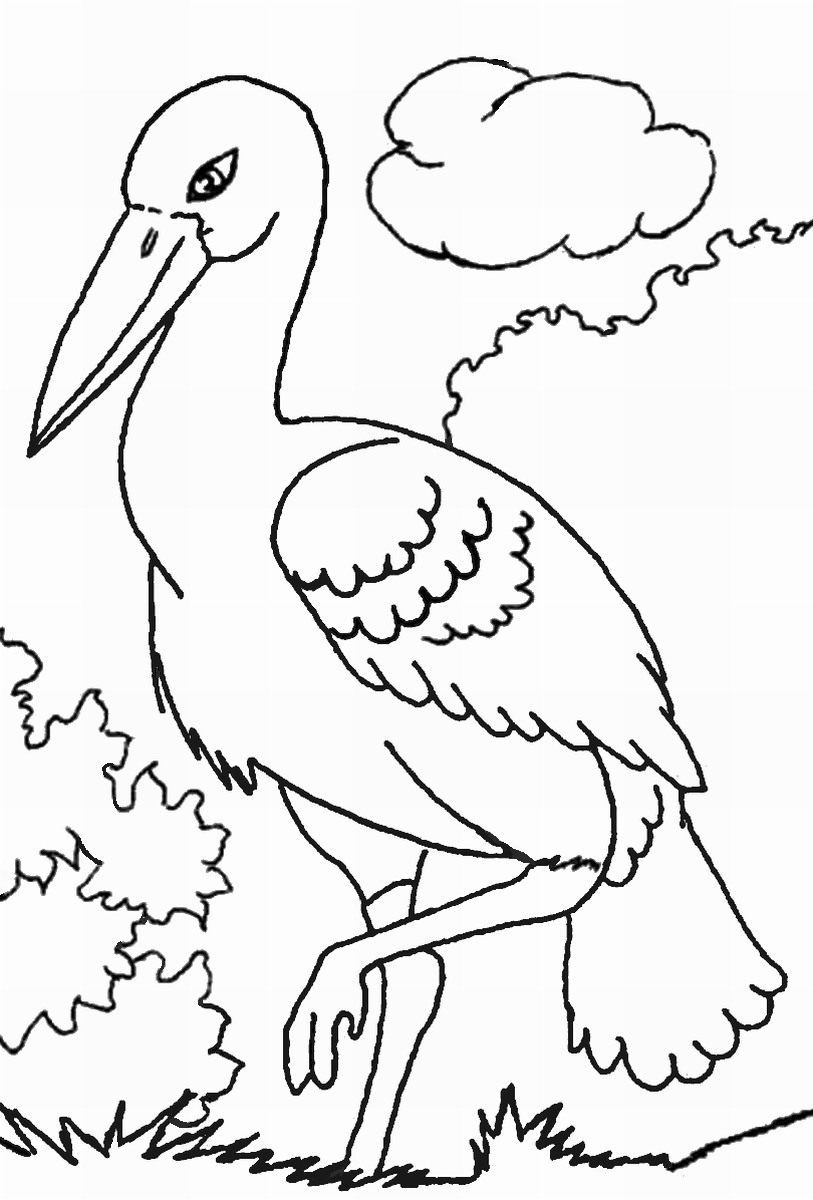 813x1200 Storks Coloring Pages