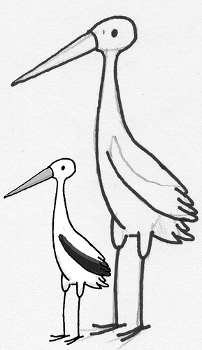 289x500 Stork Sketch From A Recent Project For A Friend That