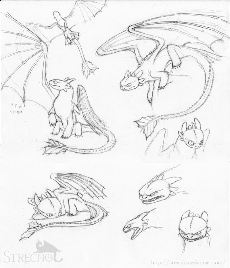 800x931 Animation Sketch Illustration Toothless