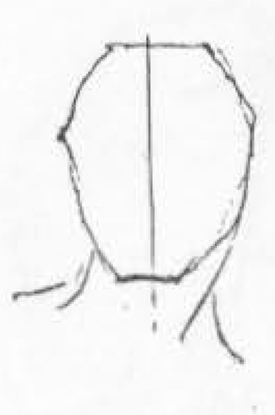 400x604 How To Draw Human Head In The Right Measurements And Proportions