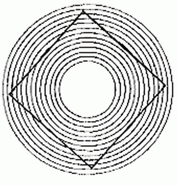 580x600 Line Illusions