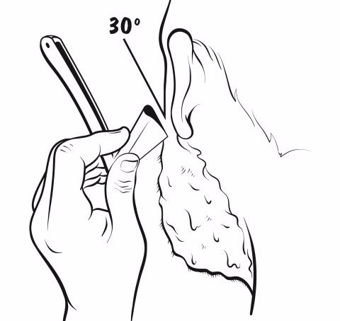 480x454 Straight Razor Shaving