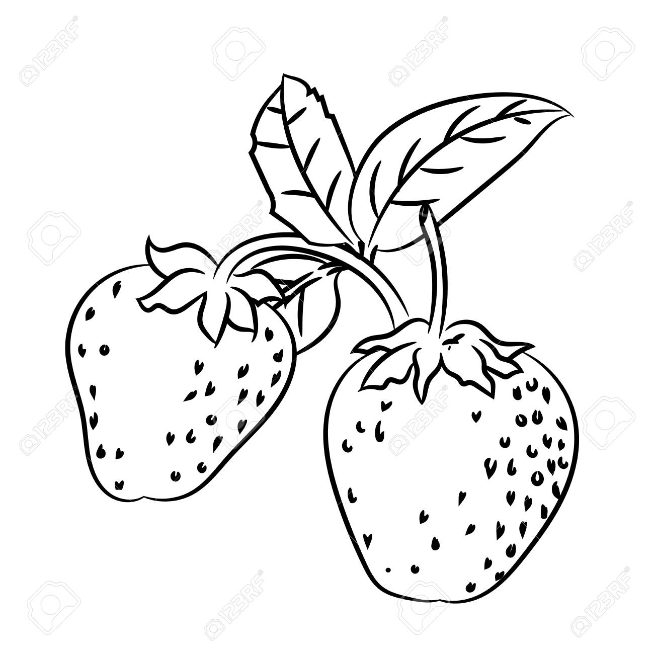 1300x1300 Hand Drawn Sketch Of Strawberry With Branch And Leaf Isolated
