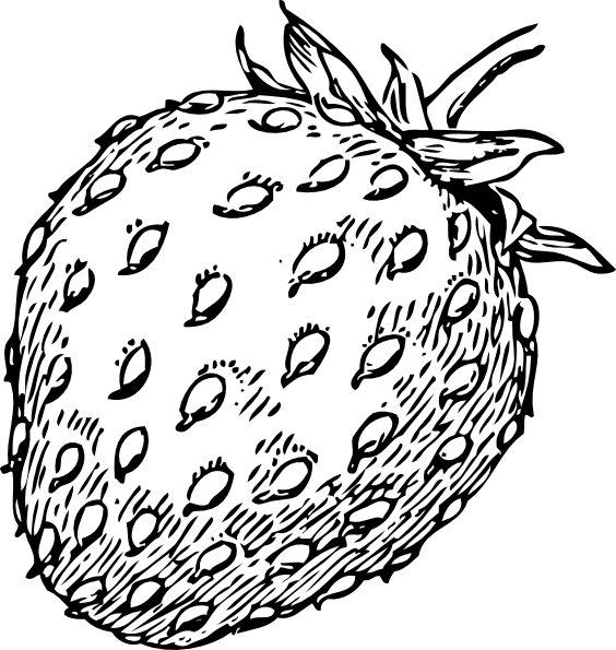 564x595 Pin By Kevin On For Pollyanna