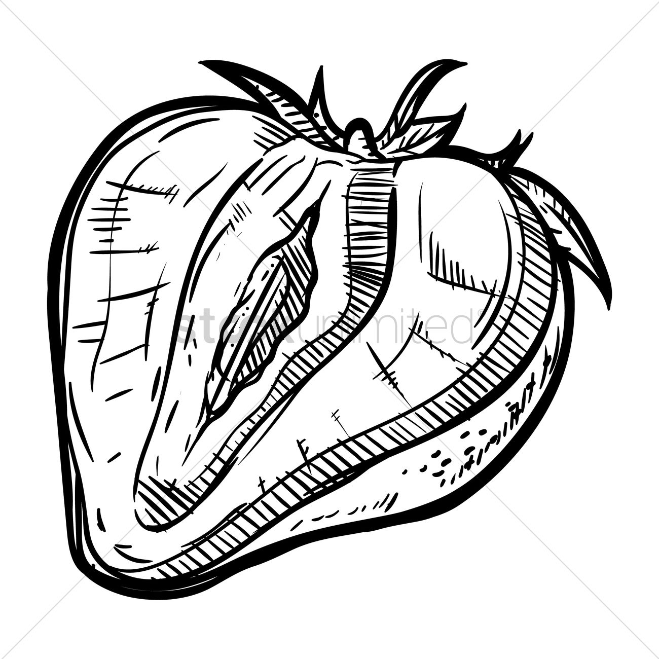 1300x1300 Strawberry Sliced In Half Vector Image
