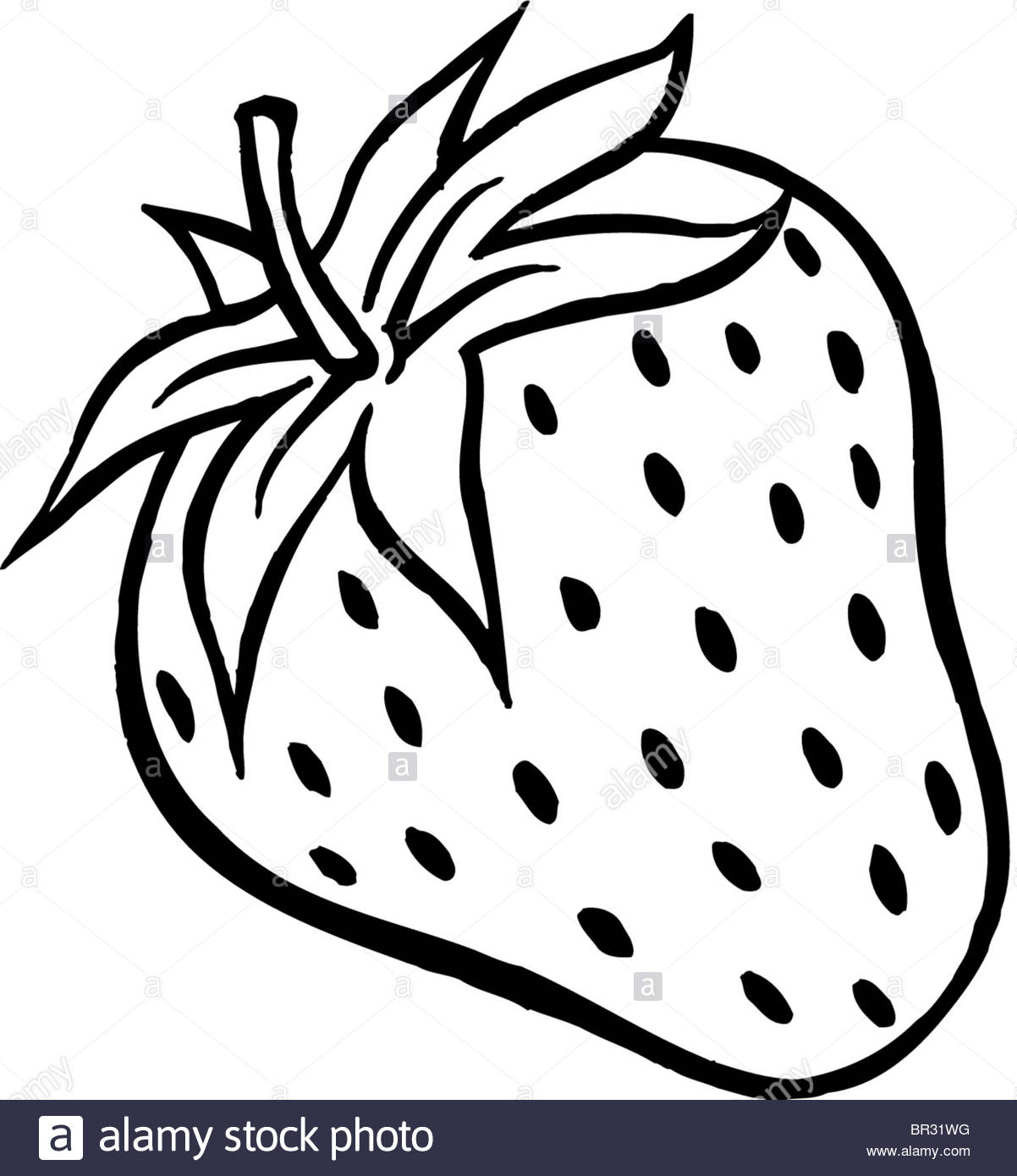 Arriba 97+ Imagen How To Draw A Realistic Strawberry Mirada Tensa
