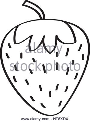 300x405 Strawberry Fresh Fruit Drawing Icon Stock Vector Art