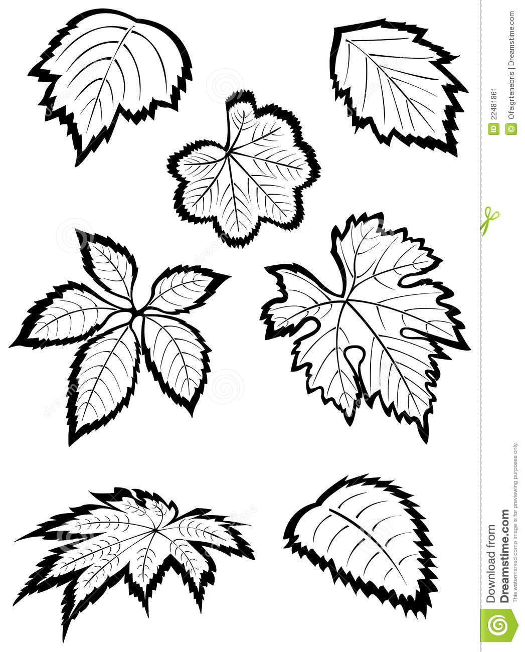 1047x1300 Drawn Foliage Strawberry Leaf