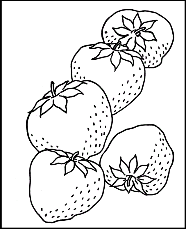 640x786 The Best Chosen Illustrations Of Strawberry Coloring Pages
