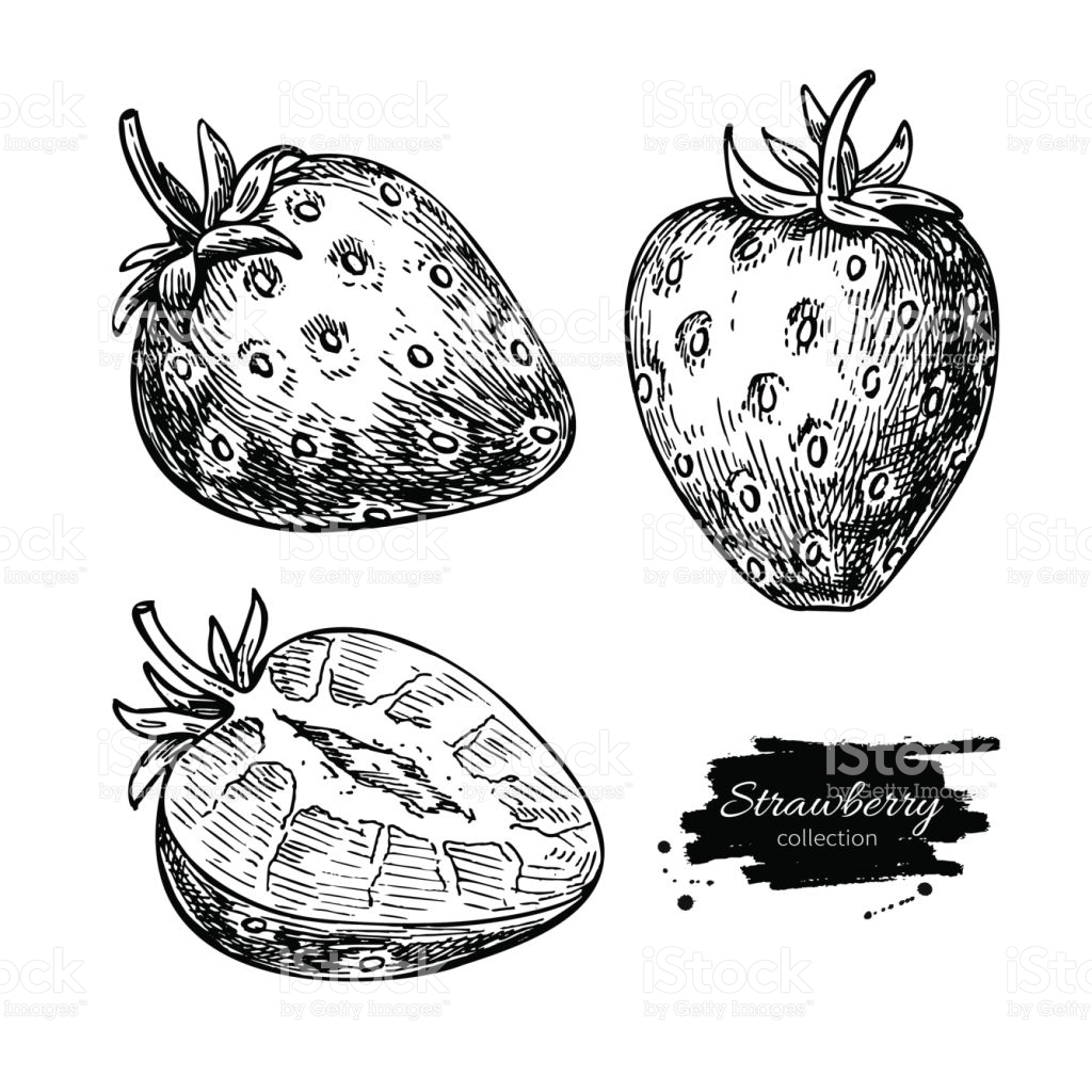 1024x1024 Drawn Berry Strawberry Line