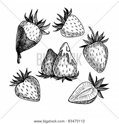 450x470 Hand Drawn Vector Illustration. Vector Amp Photo Bigstock