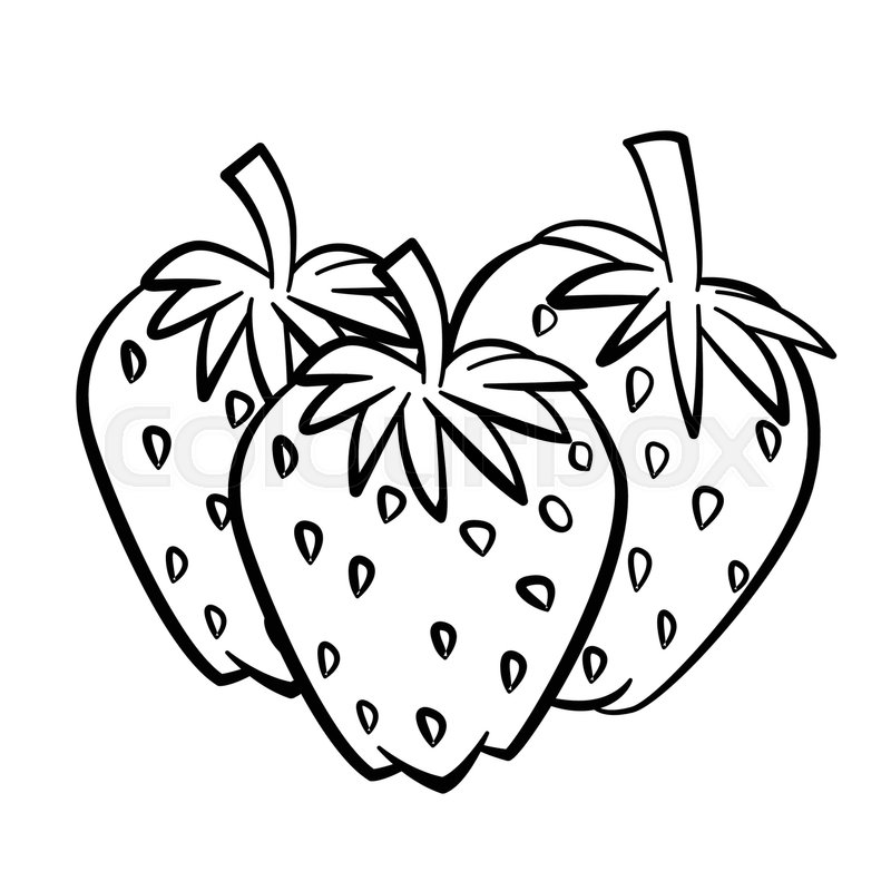 800x800 Hand Drawn Sketch Of Strawberry With Branch And Leaf Isolated