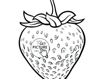 440x330 Strawberry Coloring Page Willy And The Bee Sitting On Strawberry