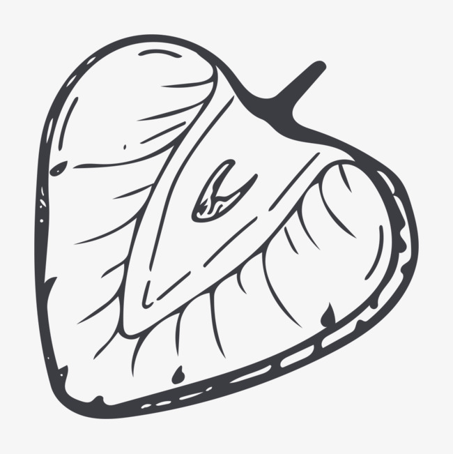 650x651 Strawberry Line, Strawberry, Rough Lines Png Image For Free Download