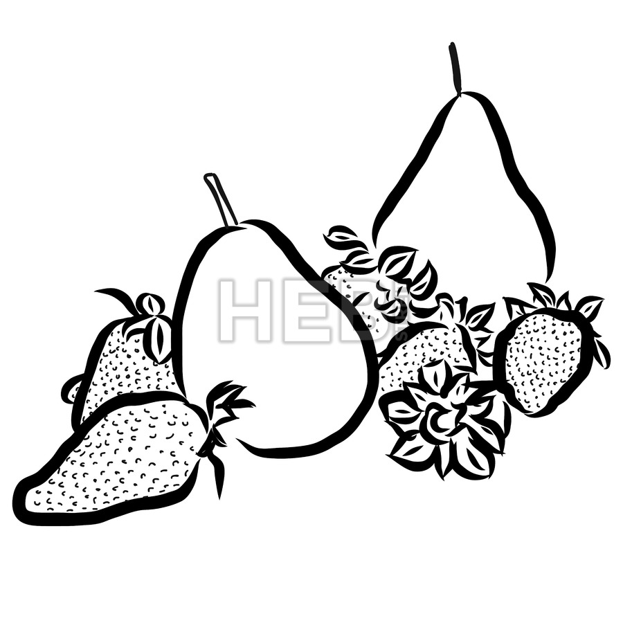 900x900 Pear And Strawberry Sketched Outline Vector Illustration Hebstreits