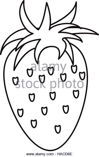 342x540 Strawberry Fresh Fruit Drawing Icon Stock Photos Amp Strawberry