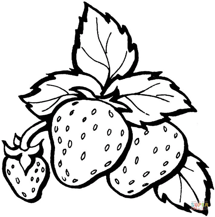711x720 Strawberry Coloring Pages Free Coloring Pages